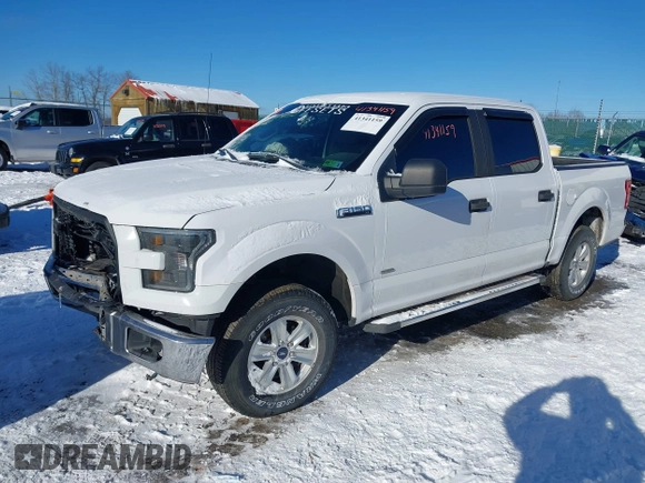 2016 Ford F-150 XL with VIN 1FTEW1CG9GKE76975, listed as a IAAI auction lot 41341159 with 126,256 mi miles and . Bid and sale history available at carsss.com. Image 17.