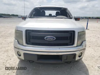 2013 Ford F-150 XL with VIN 1FTFW1ET7DFA15681, listed as a Copart auction lot 54822095 with 176,597 mi miles and Salvage title. Bid and sale history available at DreamBid. Image 5.