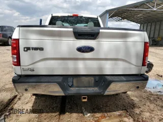 2017 Ford F-150 XL with VIN 1FTEX1CFXHFA67219, listed as a Copart auction lot 48943805 with 146,240 mi miles and Salvage Title. Bid and sale history available at carsss.com. Image 6.