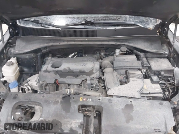 2019 Kia Sorento LX with VIN 5XYPGDA3XKG560440, listed as a IAAI auction lot 41502771 with 114,415 mi miles. Bid and sale history available at carsss.com. Image 10.
