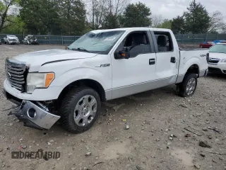 2011 Ford F-150 XL with VIN 1FTFW1EF0BFC75265, listed as a Copart auction lot 52599995 with Not provided miles and Salvage title. Bid and sale history available at DreamBid. Image 1.