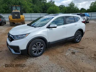 2020 Honda CR-V EX with VIN 7FARW1H51LE030775, listed as a Copart auction lot 55601265 with 99,519 mi miles and Salvage title. Bid and sale history available at DreamBid. Image 1.