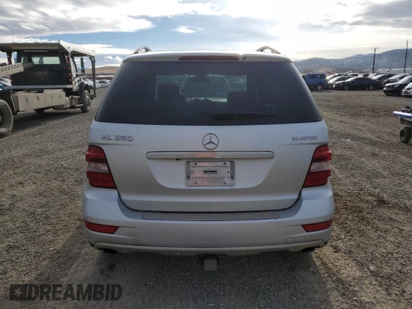 2010 Mercedes-Benz M 350 with VIN 4JGBB2FB5AA618770, listed as a Copart auction lot 79542974 with 141,733 mi miles and Salvage Title. Bid and sale history available at DreamBid. Image 6.