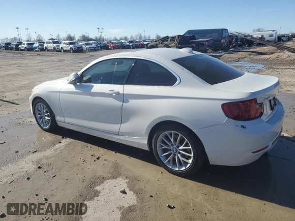 2016 BMW 2 Series 228i xDrive with VIN WBA1G9C55GV599175, listed as a Copart auction lot 44058195 with 106,544 mi miles and Salvage title. Bid and sale history available at DreamBid. Image 2.