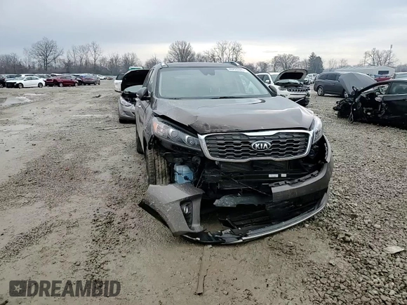 2019 Kia Sorento EX with VIN 5XYPH4A54KG499018, listed as a Copart auction lot 46420925 with 28,271 mi miles and Salvage Title. Bid and sale history available at carsss.com. Image 12.