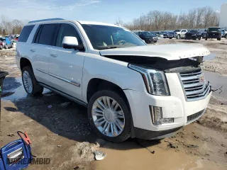 2016 Cadillac Escalade Platinum with VIN 1GYS4DKJ2GR134289, listed as a Copart auction lot 47932745 with 159,402 mi miles and Salvage Title. Bid and sale history available at carsss.com. Image 4.