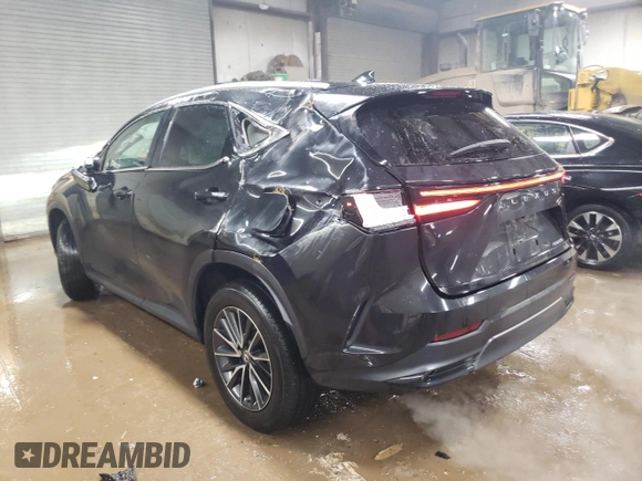 2022 Lexus NX with VIN 2T2ADCAZ4NC002205, listed as a Copart auction lot 44891975 with 19,509 mi miles and Salvage Title. Bid and sale history available at carsss.com. Image 2.
