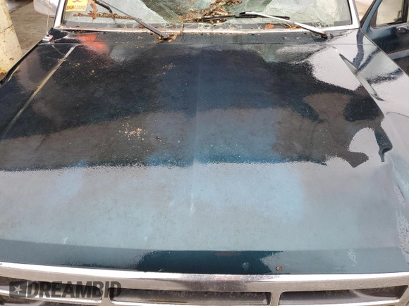 1995 Ford F-150 with VIN 1FTEX15H7SKA43294, listed as a Copart auction lot 76406034 with 0 mi miles and Salvage Title. Bid and sale history available at carsss.com. Image 11.