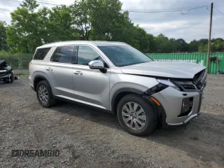 2025 Hyundai Palisade SEL with VIN KM8R2DGE9SU892508, listed as a Copart auction lot 62097505 with 1,244 mi miles and Salvage title. Bid and sale history available at DreamBid. Image 4.