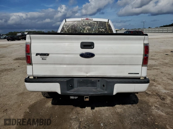 2013 Ford F-150 XL with VIN 1FTMF1EF1DFA51044, listed as a Copart auction lot 79561474 with 191,122 mi miles and Salvage Title. Bid and sale history available at DreamBid. Image 6.