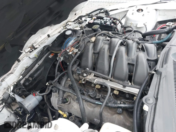 2007 Ford Mustang GT Deluxe with VIN 1ZVFT82H075304832, listed as a IAAI auction lot 41671385 with 103,268 mi miles and . Bid and sale history available at DreamBid. Image 10.