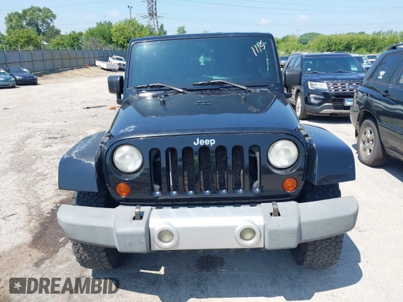 2009 Jeep Wrangler Sahara with VIN 1J4FA541X9L763737, listed as a IAAI auction lot 42721115 with 166,663 mi miles and . Bid and sale history available at DreamBid. Image 12.