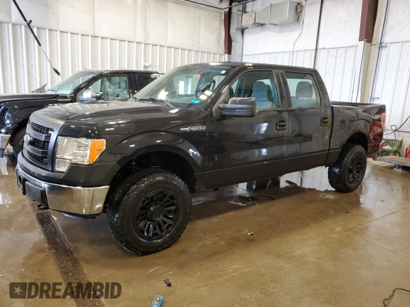 2013 Ford F-150 XL with VIN 1FTFW1EF4DFD78434, listed as a Copart auction lot 53124965 with 184,304 mi miles and Non Repairable. Bid and sale history available at carsss.com. Image 1.