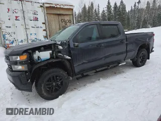 2019 Chevrolet Silverado 1500 Custom Trail Boss with VIN 1GCPYCEF8KZ414311, listed as a Copart auction lot 44328785 with 160,718 mi miles and Salvage Title. Bid and sale history available at carsss.com. Image 1.