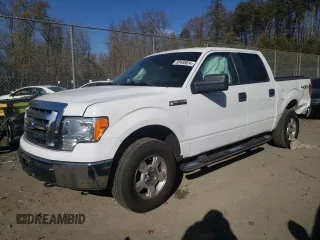 2009 Ford F-150 XL z VIN 1FTPW14V39FB03058, wystawiony jako Copart lot #82215634 z przebiegiem 179 704 mil mil oraz Nie do naprawy • Non repairable. Historia ofert i sprzedaży dostępna na DreamBid. Obrazek 1.