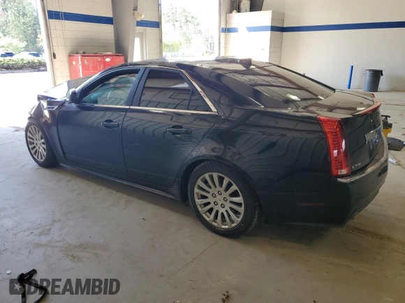 2013 Cadillac CTS Premium with VIN 1G6DP5E33D0124169, listed as a Copart auction lot 51205905 with Not Provided miles and Salvage Title. Bid and sale history available at DreamBid. Image 2.