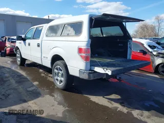 2014 Ford F-150 XL with VIN 1FTFW1EF5EFA52790, listed as a IAAI auction lot 41838078 with 298,335 mi miles. Bid and sale history available at carsss.com. Image 3.