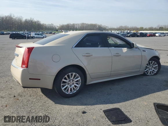 2011 Cadillac CTS with VIN 1G6DC5EY6B0141925, listed as a Copart auction lot 54479025 with Not Provided miles and Salvage Title. Bid and sale history available at DreamBid. Image 3.