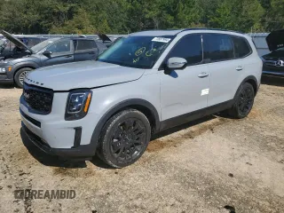 2022 Kia Telluride SX with VIN 5XYP5DHC4NG284496, listed as a Copart auction lot 73887994 with Not provided miles and Non repairable. Bid and sale history available at DreamBid. Image 1.