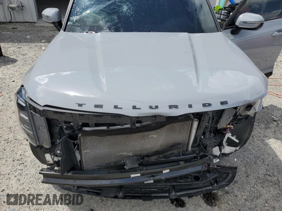 2021 Kia Telluride EX with VIN 5XYP3DHC9MG180672, listed as a Copart auction lot 52306225 with 60,742 mi miles and Non Repairable. Bid and sale history available at DreamBid. Image 13.