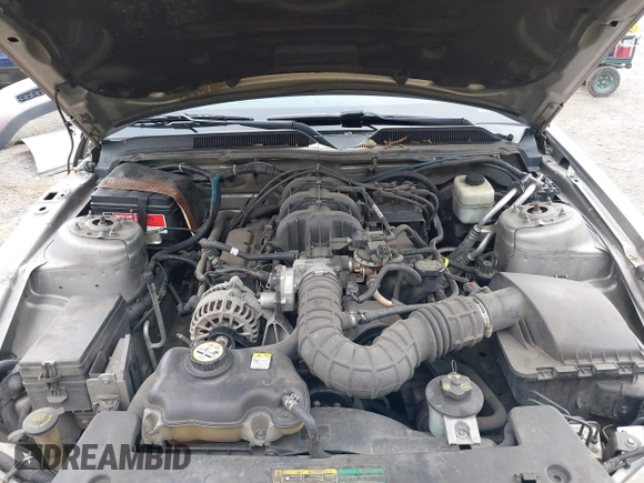 2008 Ford Mustang Deluxe with VIN 1ZVHT80N485182883, listed as a IAAI auction lot 42615739 with 203,793 mi miles and . Bid and sale history available at DreamBid. Image 10.