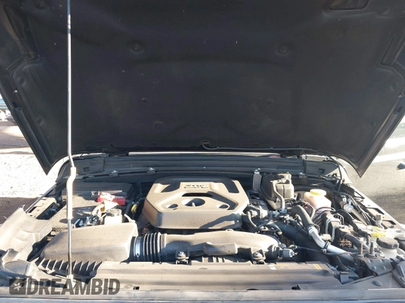 2021 Jeep Wrangler Sport S with VIN 1C4GJXAN5MW725966, listed as a IAAI auction lot 41144645 with 38,286 mi miles and . Bid and sale history available at DreamBid. Image 10.