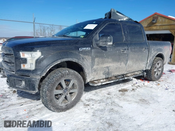 2016 Ford F-150 XLT with VIN 1FTEW1EG8GKD85709, listed as a IAAI auction lot 41394962 with 183,170 mi miles. Bid and sale history available at carsss.com. Image 2.