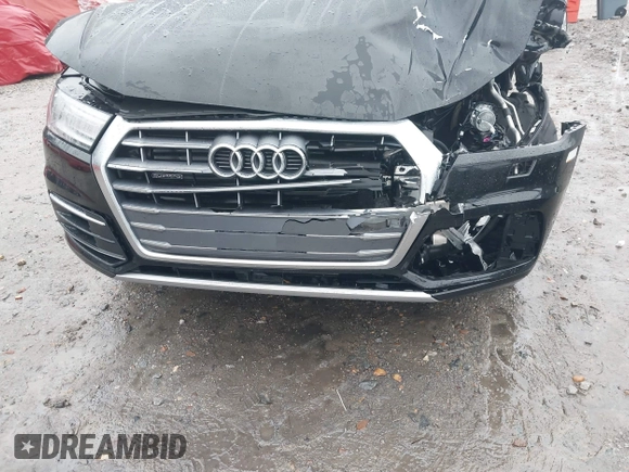2019 Audi Q5 Premium with VIN WA1ANAFY7K2124244, listed as a IAAI auction lot 41251080 with 101,767 mi miles. Bid and sale history available at carsss.com. Image 6.