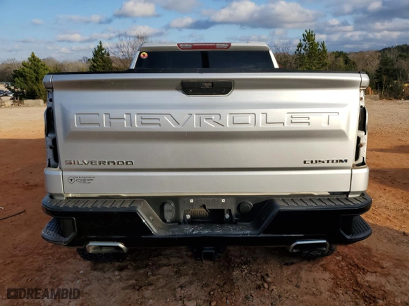 2019 Chevrolet Silverado 1500 Custom Trail Boss with VIN 3GCPYCEF4KG120324, listed as a Copart auction lot 85296344 with 62,491 mi miles and Salvage Title. Bid and sale history available at carsss.com. Image 6.