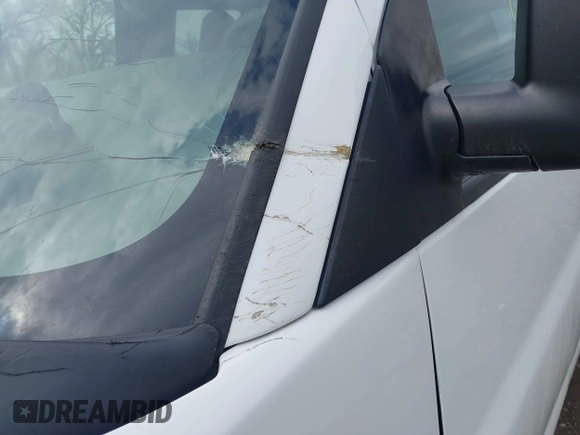 2018 Chevrolet Express Passenger LT z VIN 1GAZGPFG0J1329933, wystawiony jako IAAI lot #42116300 z przebiegiem 114 269 mil mil oraz . Historia ofert i sprzedaży dostępna na DreamBid. Obrazek 19.