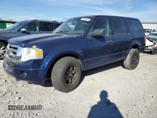 2009 Ford Expedition SSV with VIN 1FMFU16579EB04150, listed as a Copart auction lot 88463295 with 277,821 mi miles and Salvage Title. Bid and sale history available at DreamBid. Image 1.