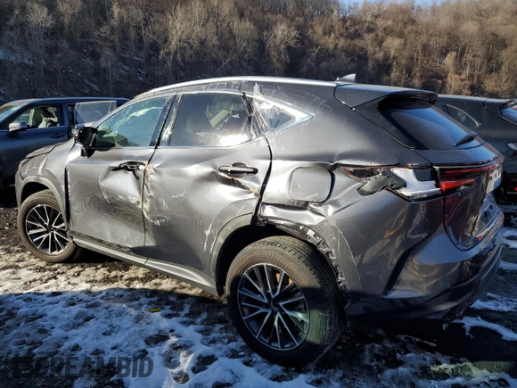 2024 Lexus NX with VIN 2T2AGCEZ4RC053310, listed as a Copart auction lot 42763545 with 10,328 mi miles and Salvage Title. Bid and sale history available at carsss.com. Image 2.