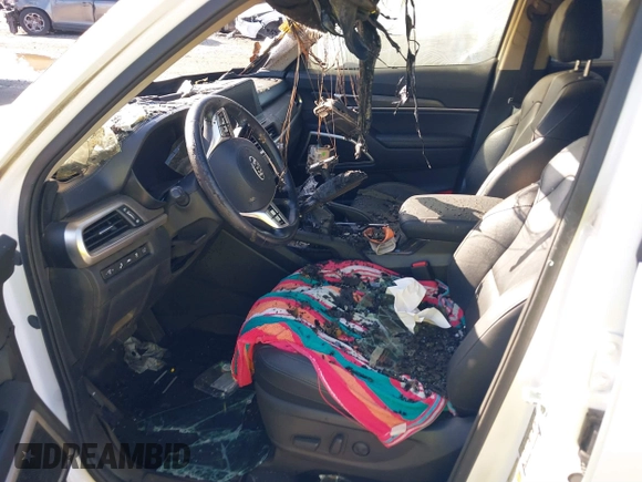 2021 Kia Telluride EX with VIN 5XYP3DHC4MG164072, listed as a IAAI auction lot 39796981 with Not Provided miles and . Bid and sale history available at DreamBid. Image 5.