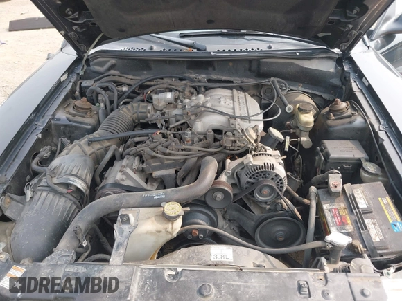 1998 Ford Mustang with VIN 1FAFP4048WF206663, listed as a IAAI auction lot 42417476 with 150,665 mi miles and . Bid and sale history available at DreamBid. Image 10.