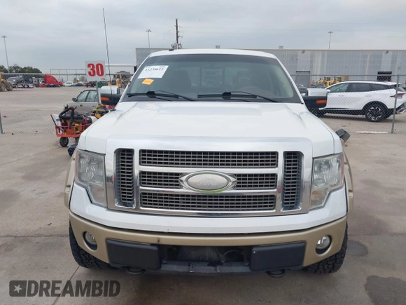 2009 Ford F-150 XL with VIN 1FTPW14V79KC93079, listed as a IAAI auction lot 41238612 with 175,052 mi miles. Bid and sale history available at carsss.com. Image 13.
