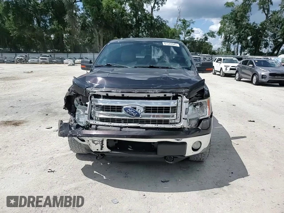 2013 Ford F-150 XL with VIN 1FTFW1EF1DFB70494, listed as a Copart auction lot 61549945 with 124,216 mi miles and Salvage title. Bid and sale history available at DreamBid. Image 13.