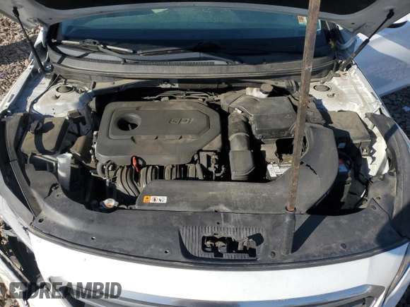 2016 Hyundai Sonata SE with VIN 5NPE24AF1GH359168, listed as a Copart auction lot 54137245 with Not Provided miles and Salvage Title. Bid and sale history available at carsss.com. Image 11.