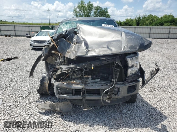 2015 Ford F-150 XL with VIN 1FTEW1CG8FFB76903, listed as a Copart auction lot 55628185 with Not provided miles and Salvage title. Bid and sale history available at DreamBid. Image 5.