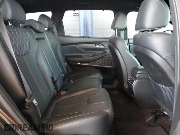 2023 Hyundai Santa Fe Calligraphy with VIN 5NMS5DAL4PH572306, listed as a Copart auction lot 57300625 with 23,957 mi miles and Salvage title. Bid and sale history available at DreamBid. Image 10.