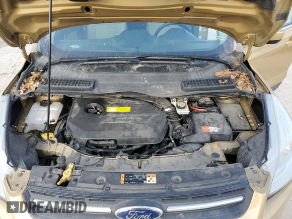 2015 Ford Escape SE with VIN 1FMCU0GX6FUB41155, listed as a Copart auction lot 41928215 with 184,265 mi miles and Clean Title. Bid and sale history available at carsss.com. Image 12.