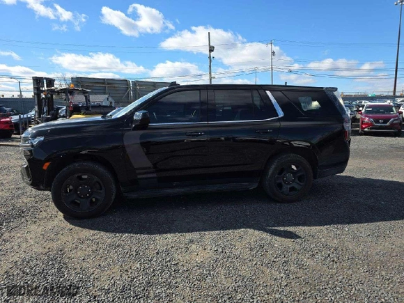2022 Chevrolet Tahoe Commercial with VIN 1GNSKLED8NR178474, listed as a Copart auction lot 44544495 with 49,801 mi miles and Salvage Title. Bid and sale history available at carsss.com. Image 12.