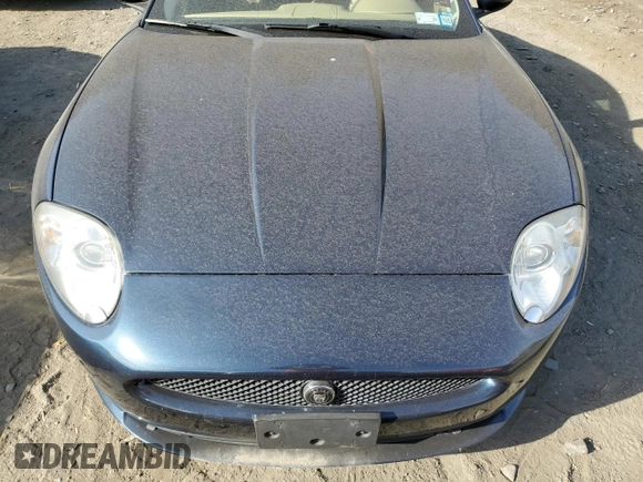 2009 Jaguar XK with VIN SAJWA43B995B30780, listed as a Copart auction lot 79119264 with 0 mi miles and Salvage Title. Bid and sale history available at carsss.com. Image 11.