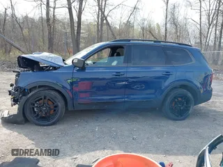 2024 Kia Telluride EX X-Line with VIN 5XYP3DGC7RG468876, listed as a IAAI auction lot 42122622 with 29,416 mi miles and . Bid and sale history available at DreamBid. Image 14.