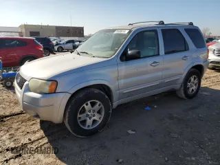 2004 Ford Escape Limited with VIN 1FMCU04194KA50096, listed as a Copart auction lot 79530614 with 222,129 mi miles and Clean title. Bid and sale history available at DreamBid. Image 1.