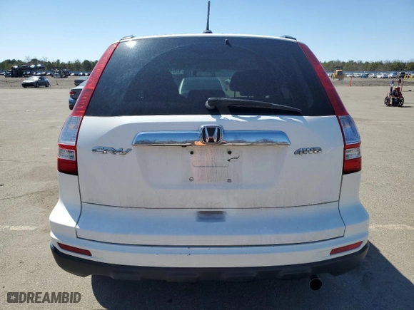 2010 Honda CR-V EX-L with VIN 5J6RE4H78AL075492, listed as a Copart auction lot 53428085 with 158,975 mi miles and Salvage Title. Bid and sale history available at carsss.com. Image 6.