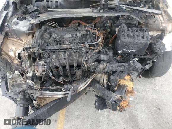 2019 Kia Forte LXS with VIN 3KPF24AD1KE081596, listed as a Copart auction lot 60381985 with Not provided miles and Salvage title. Bid and sale history available at DreamBid. Image 11.