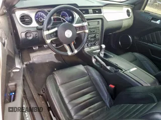2013 Ford Mustang GT with VIN 1ZVBP8CF1D5244913, listed as a Copart auction lot 59531195 with 102,109 mi miles and Salvage title. Bid and sale history available at DreamBid. Image 8.