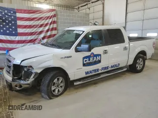2013 Ford F-150 XL with VIN 1FTFW1ET6DFD16958, listed as a Copart auction lot 46239485 with 163,442 mi miles and Salvage Title. Bid and sale history available at carsss.com. Image 1.