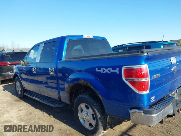 2009 Ford F-150 XL with VIN 1FTPW14V59KC52255, listed as a IAAI auction lot 42123114 with 190,641 mi miles and . Bid and sale history available at DreamBid. Image 14.
