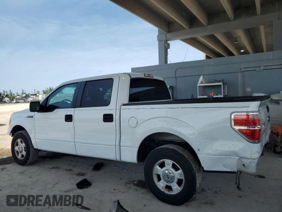 2014 Ford F-150 XL with VIN 1FTEW1CM9EFA41241, listed as a Copart auction lot 56217225 with 256,673 mi miles and Salvage title. Bid and sale history available at DreamBid. Image 2.
